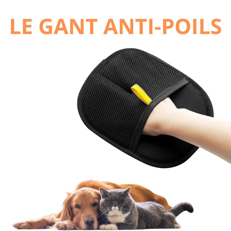 CALIN PET Gant Magique Anti-Poils
