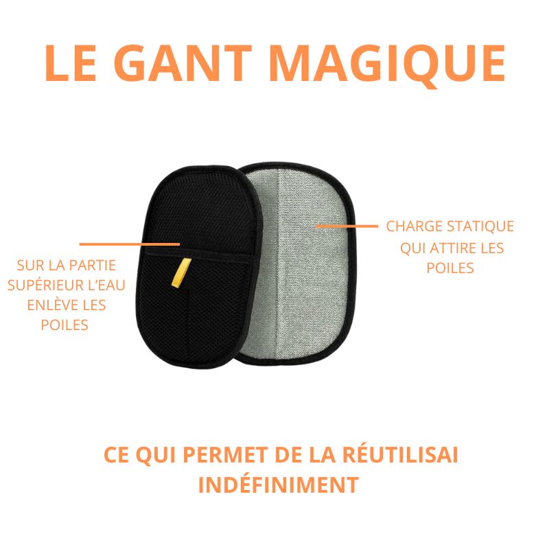 CALIN PET Gant Magique Anti-Poils