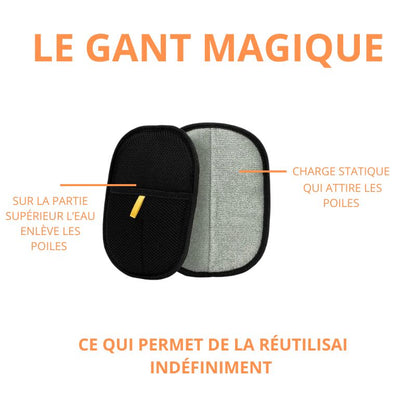 CALIN PET Gant Magique Anti-Poils